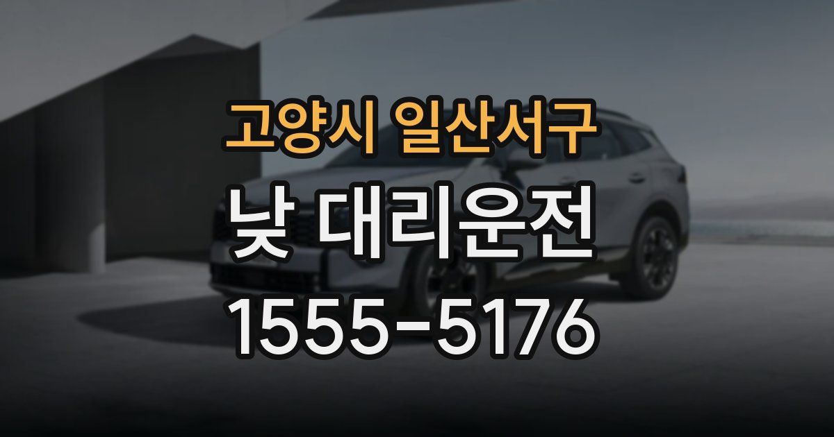 고양시 일산서구 낮 대리운전