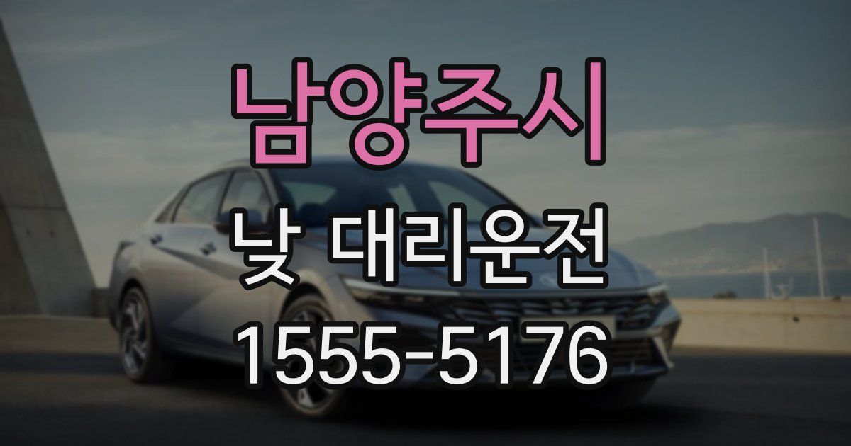 남양주시 낮 대리운전