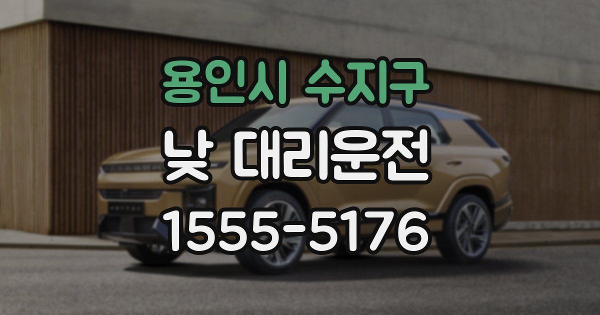 용인시 수지구 낮 대리운전