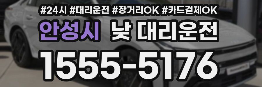 안성시 낮 대리운전