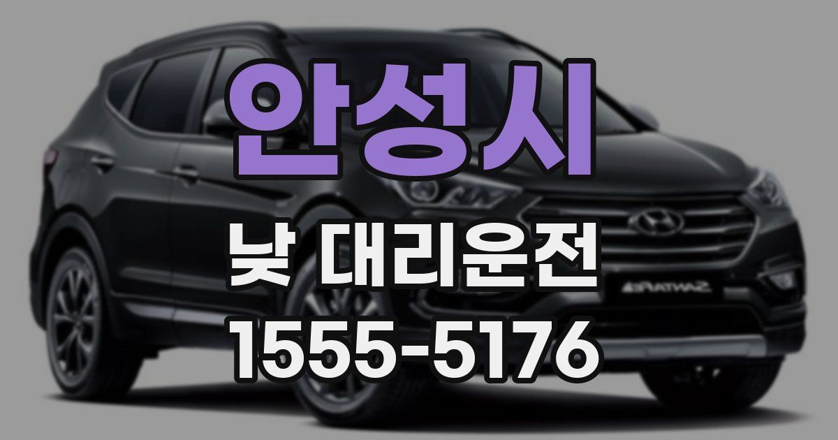 안성시 낮 대리운전