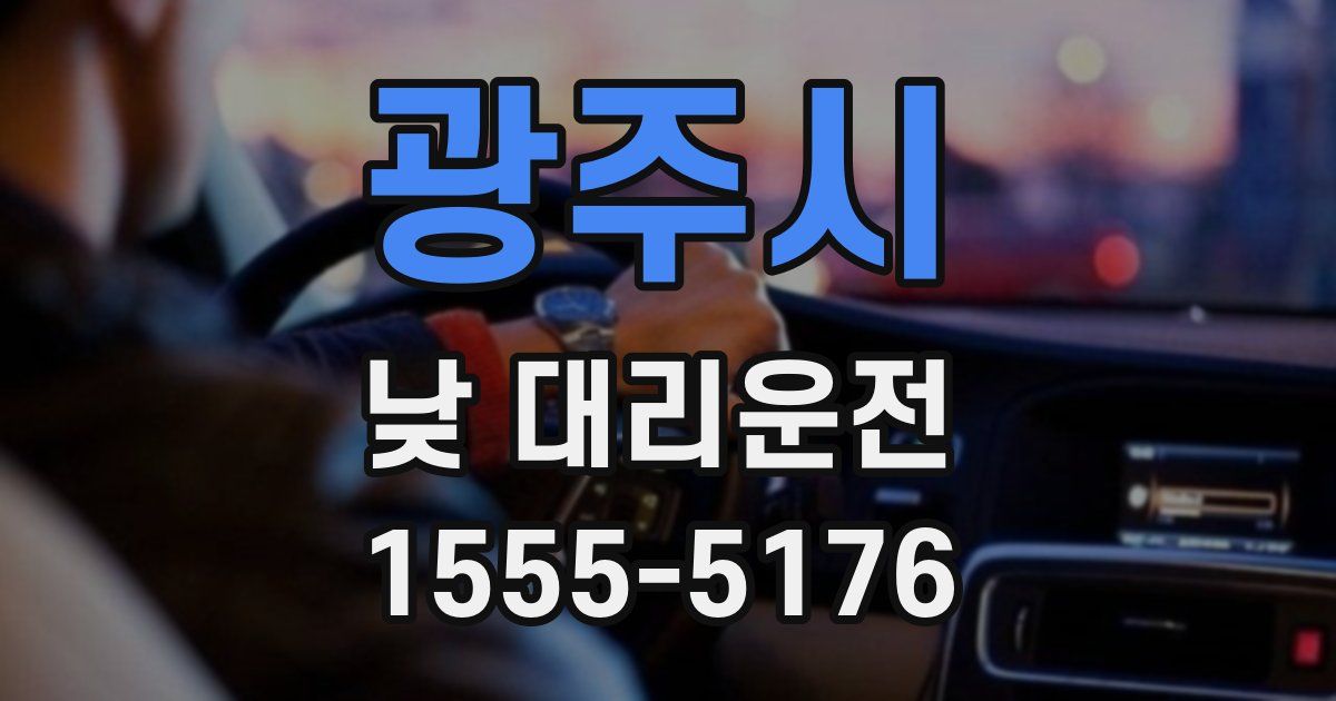광주시 낮 대리운전