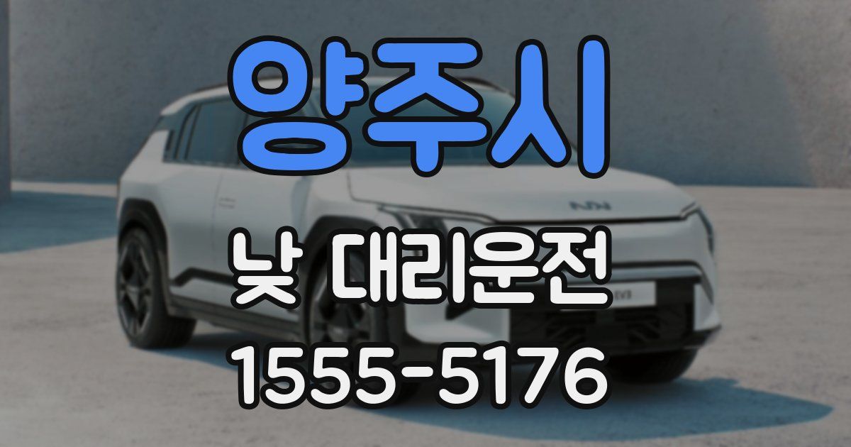 양주시 낮 대리운전