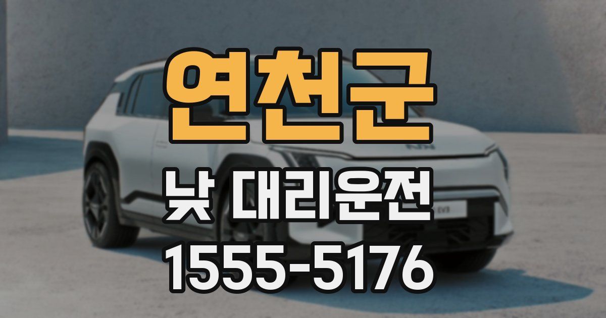 연천군 낮 대리운전