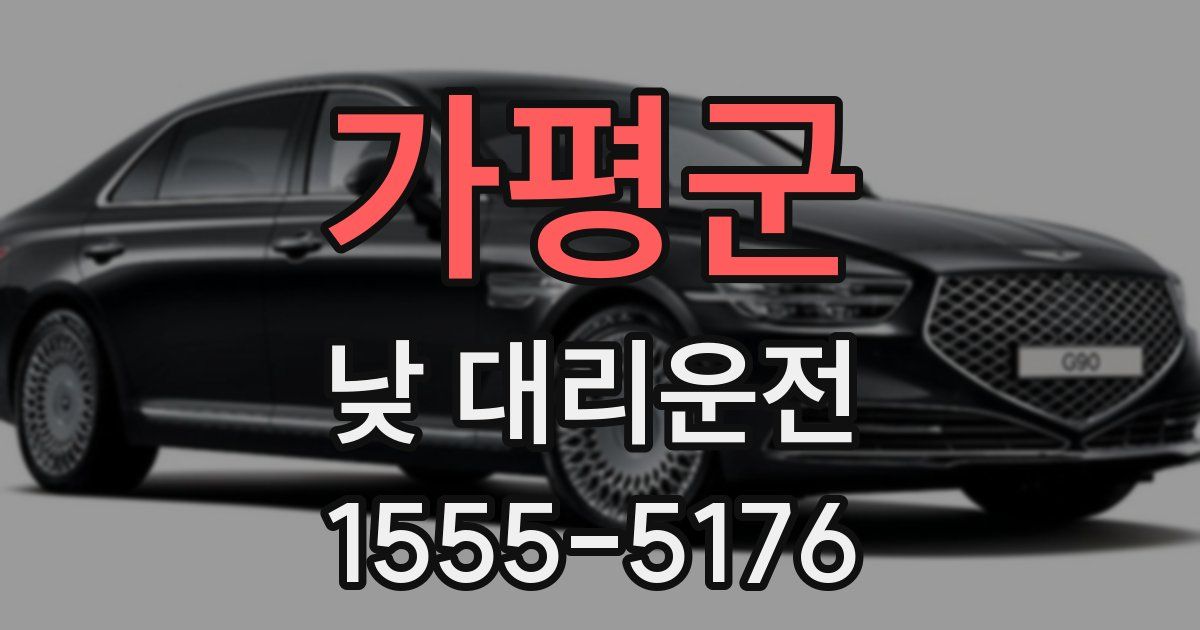 가평군 낮 대리운전