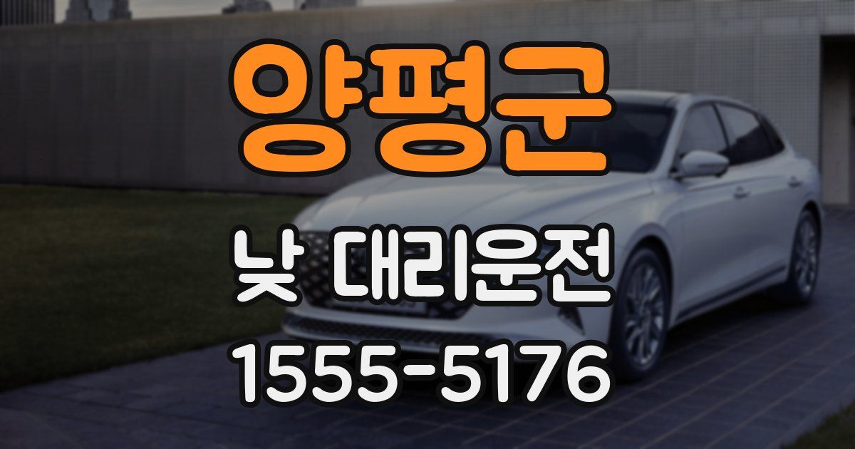 양평군 낮 대리운전