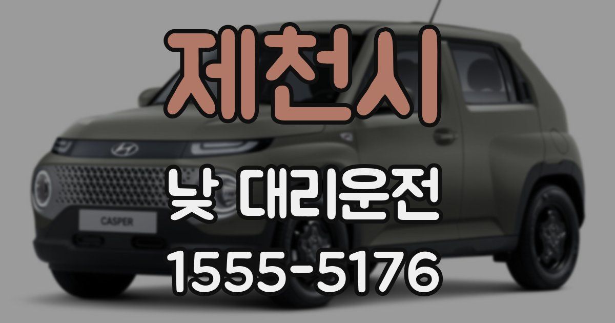 제천시 낮 대리운전