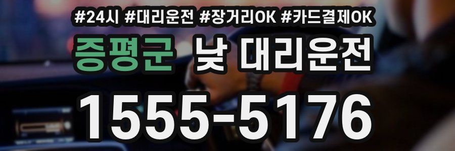 증평군 낮 대리운전