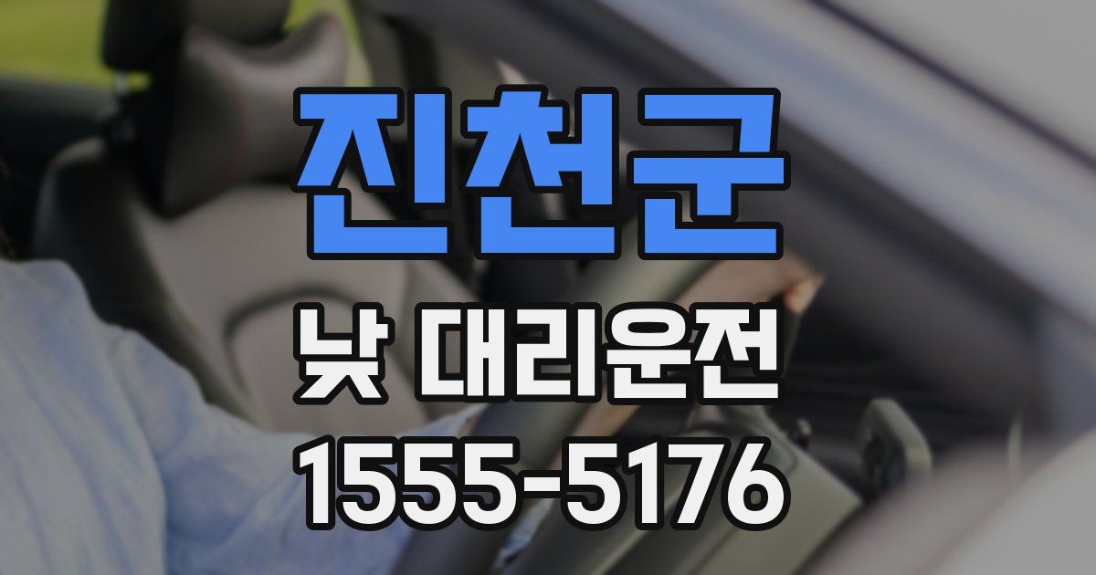 진천군 낮 대리운전