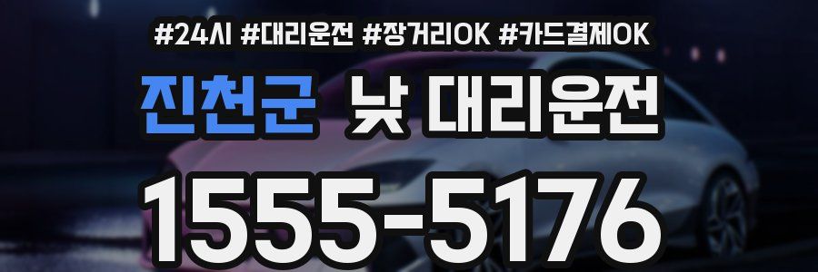 진천군 낮 대리운전