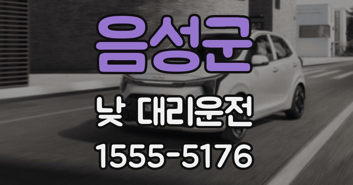 음성군 낮 대리운전