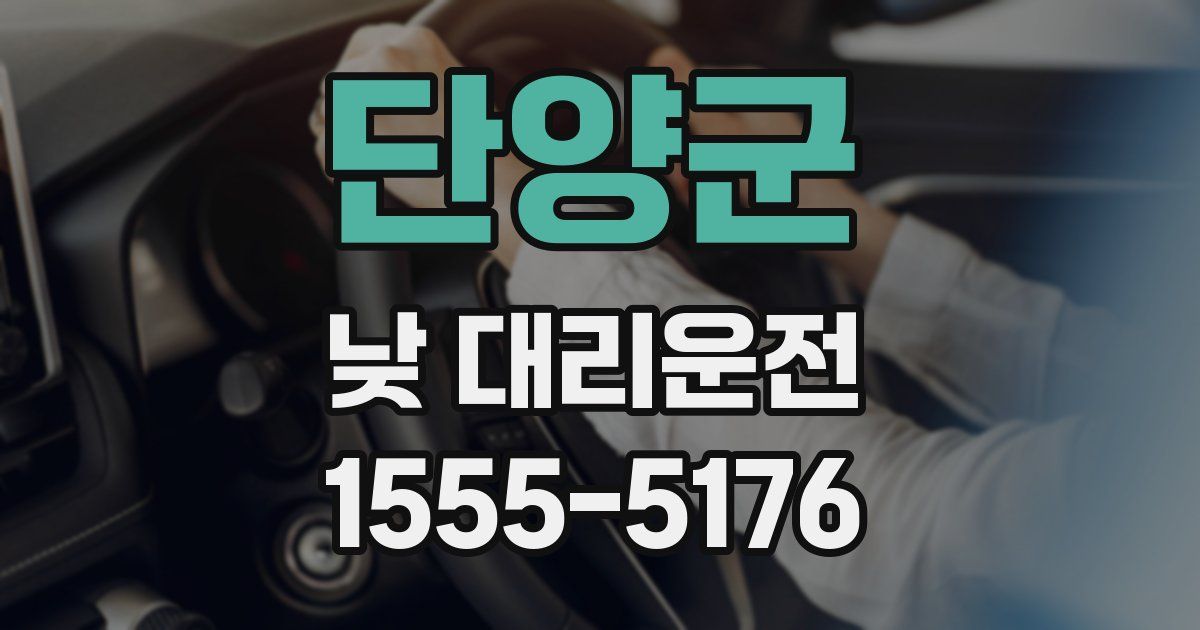 단양군 낮 대리운전