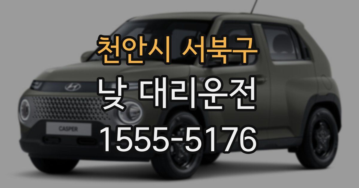 천안시 서북구 낮 대리운전