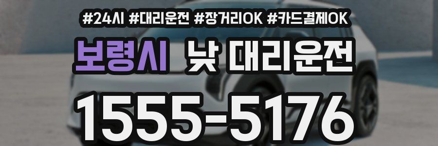 보령시 낮 대리운전