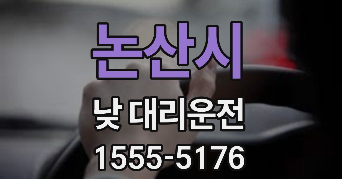 논산시 낮 대리운전