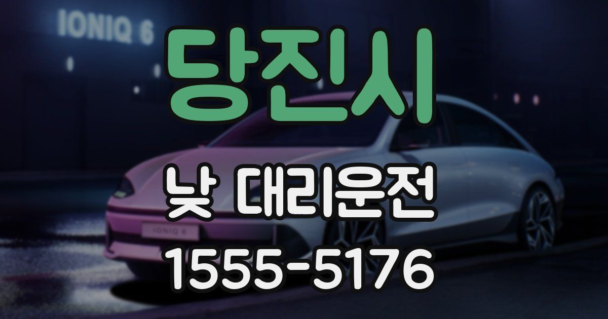 당진시 낮 대리운전