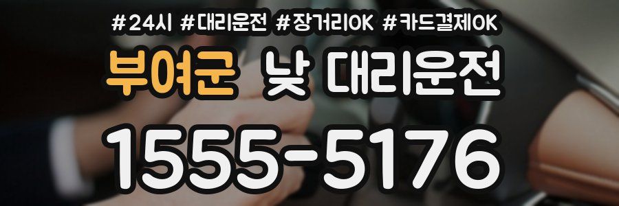 부여군 낮 대리운전