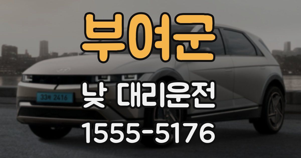 부여군 낮 대리운전