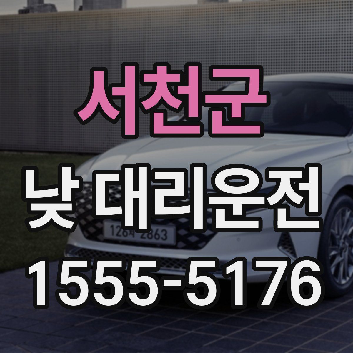 서천군 낮 대리운전