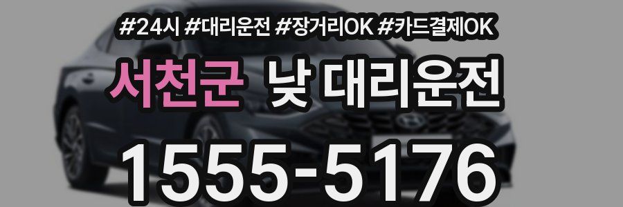 서천군 낮 대리운전