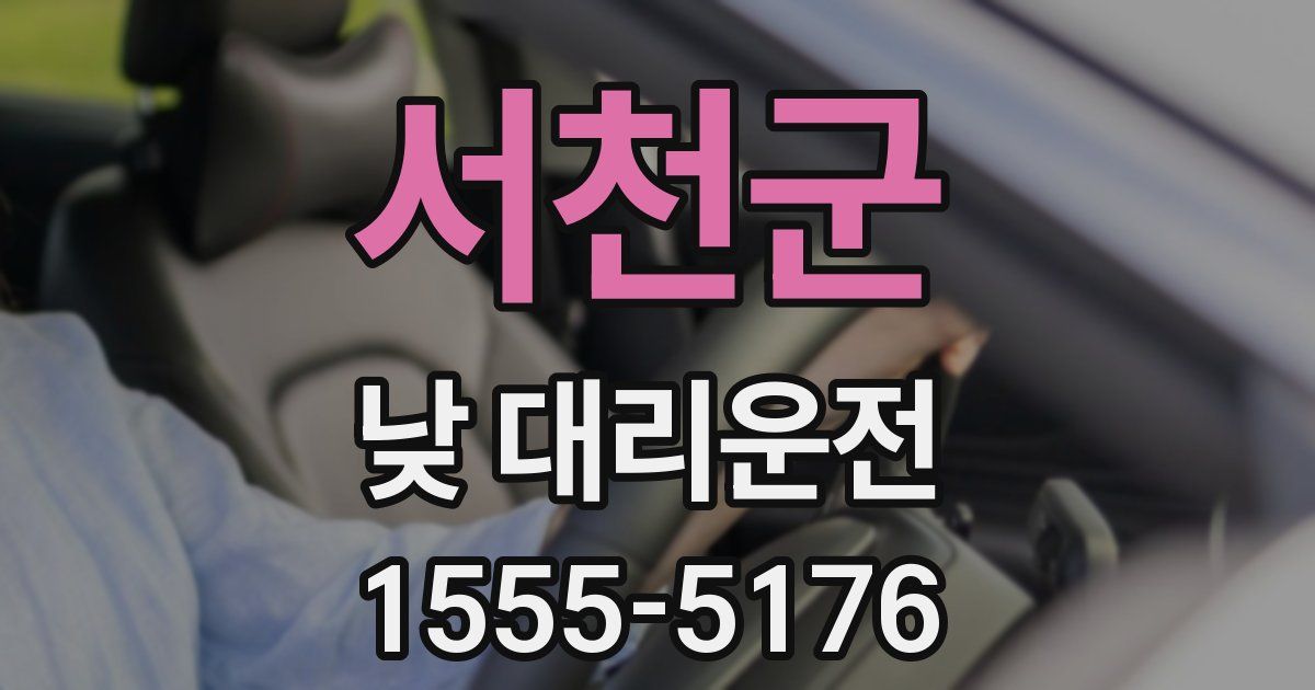 서천군 낮 대리운전