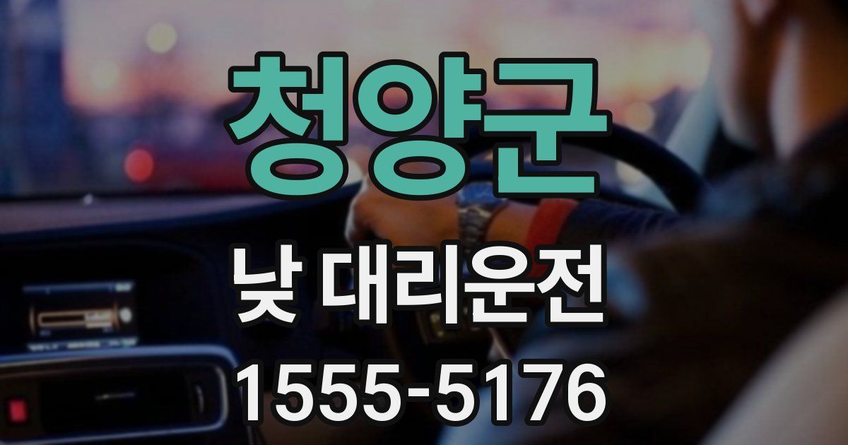청양군 낮 대리운전