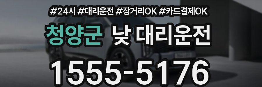 청양군 낮 대리운전