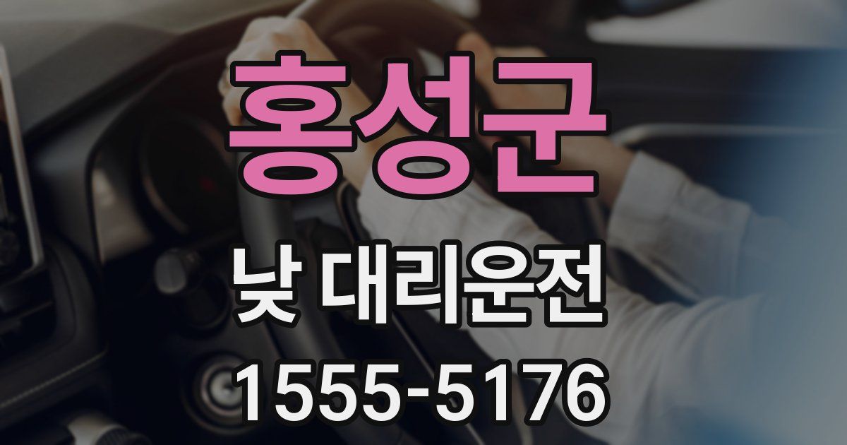 홍성군 낮 대리운전