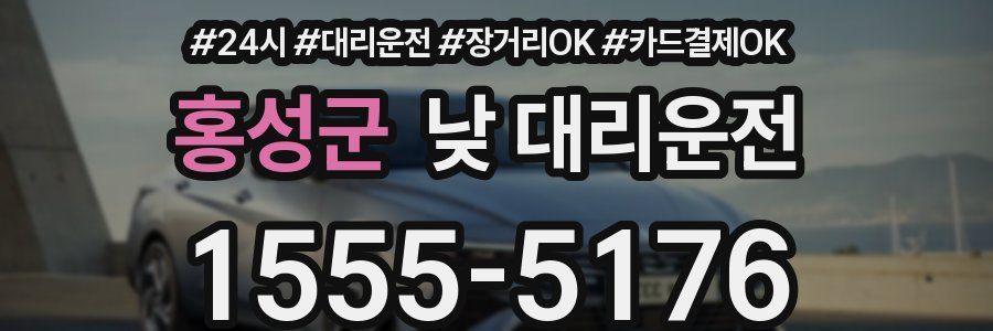 홍성군 낮 대리운전