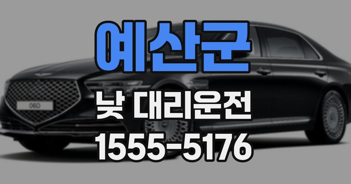 예산군 낮 대리운전