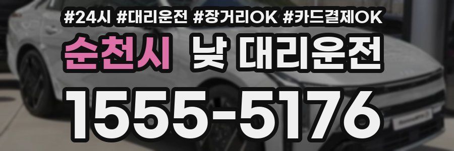 순천시 낮 대리운전