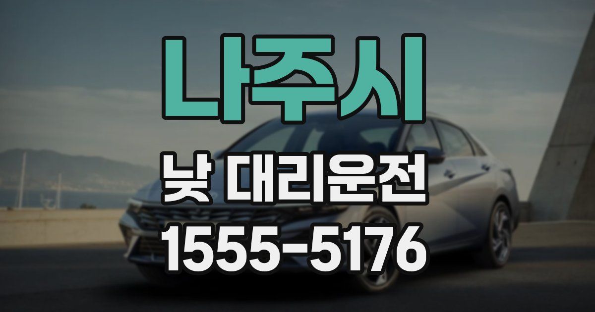 나주시 낮 대리운전