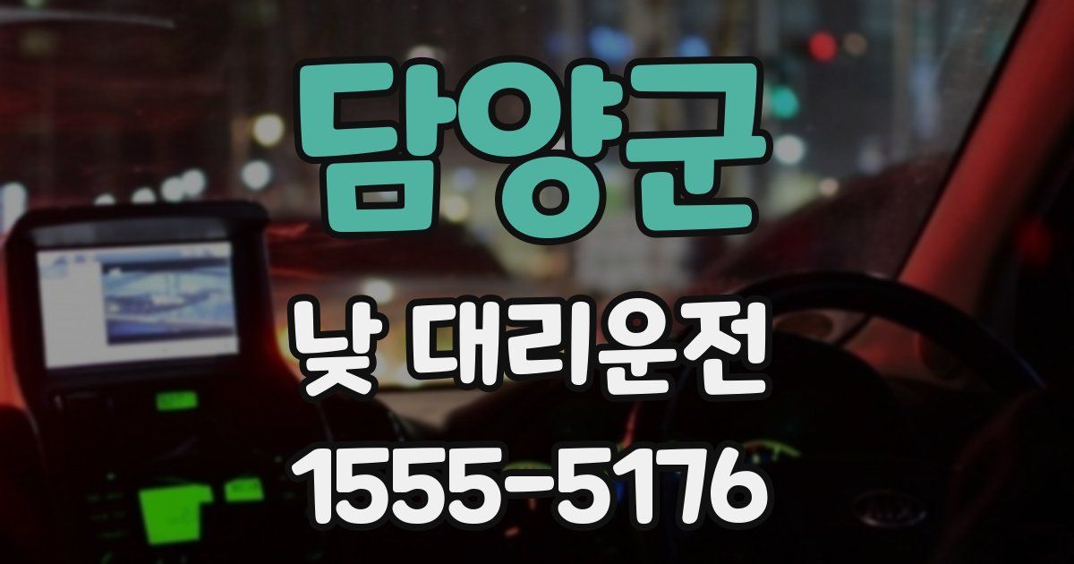담양군 낮 대리운전