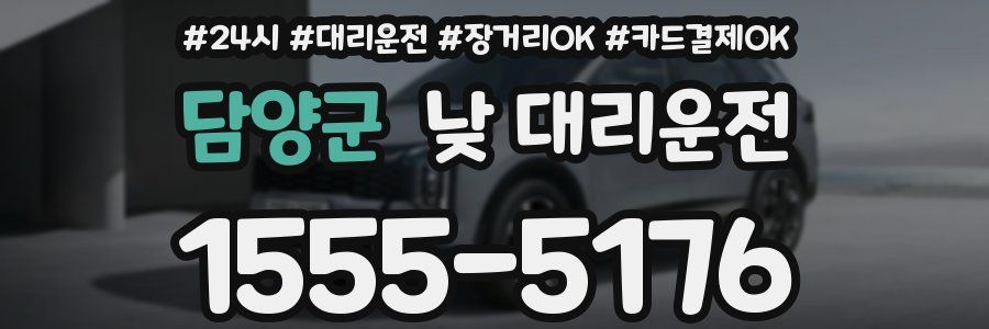 담양군 낮 대리운전