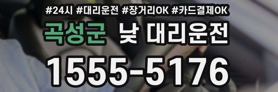 곡성군 낮 대리운전