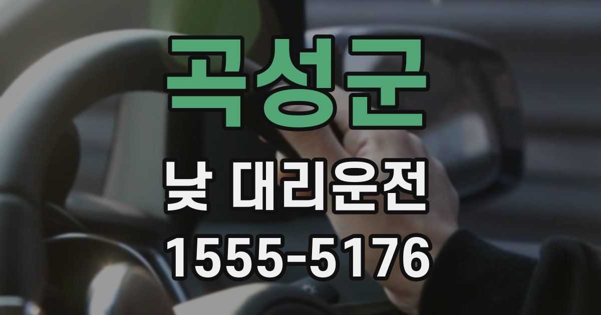 곡성군 낮 대리운전