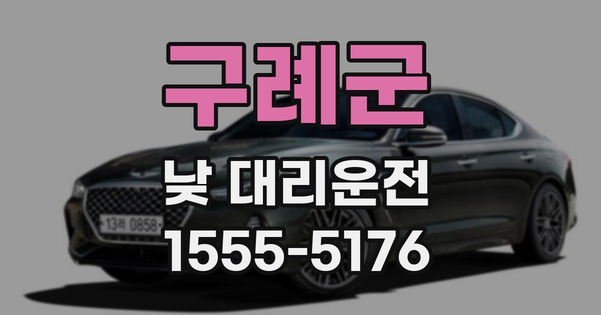구례군 낮 대리운전