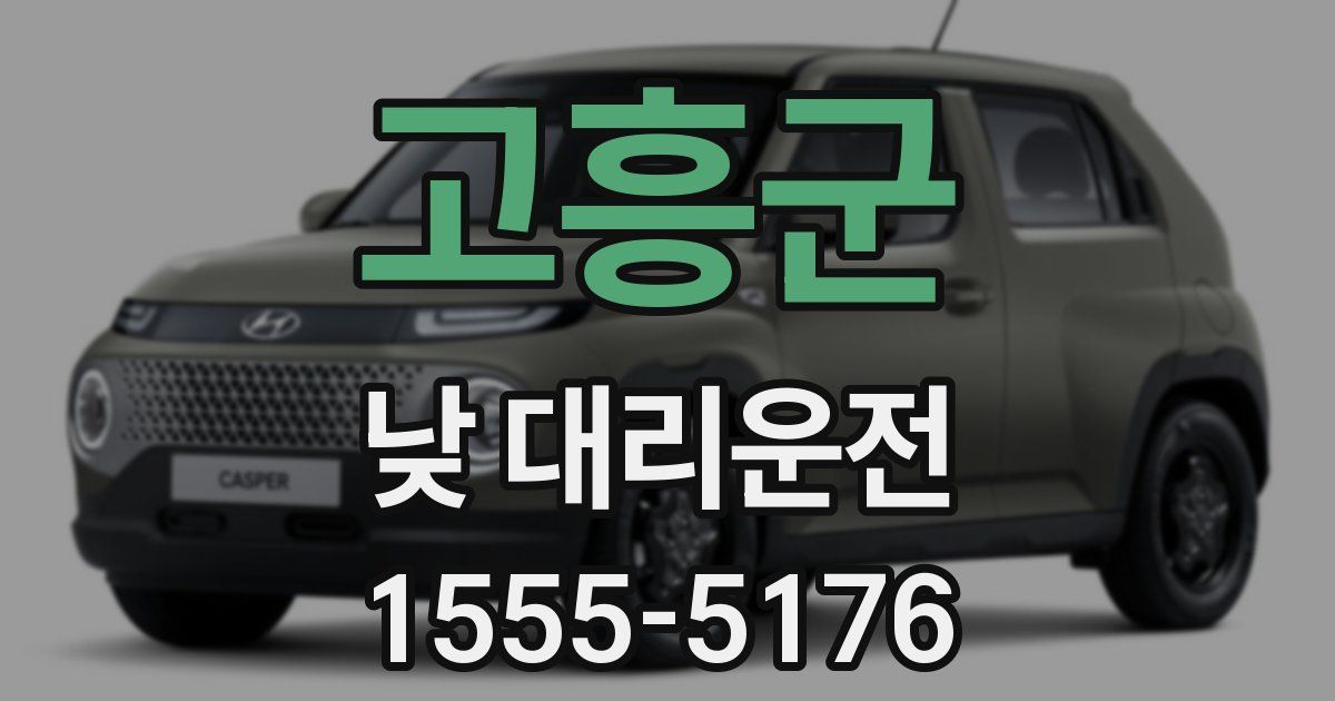 고흥군 낮 대리운전