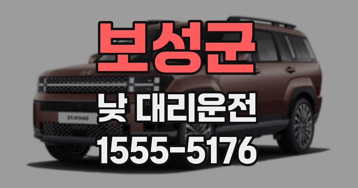 보성군 낮 대리운전