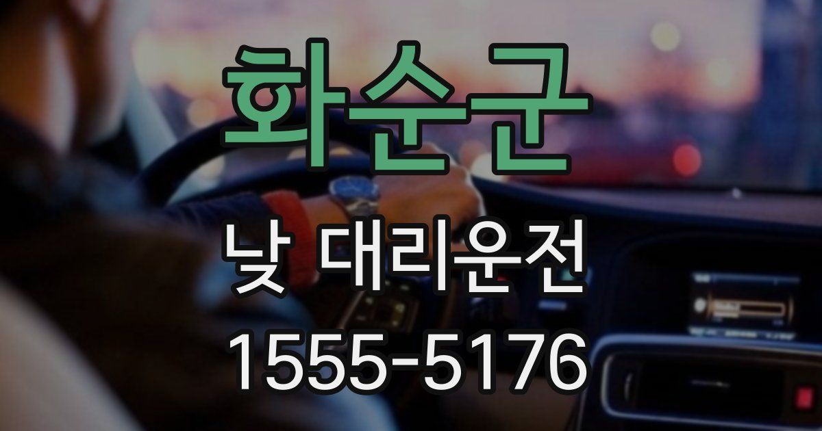 화순군 낮 대리운전
