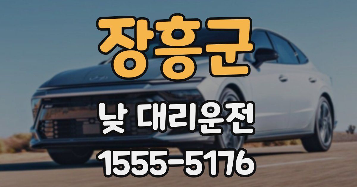 장흥군 낮 대리운전