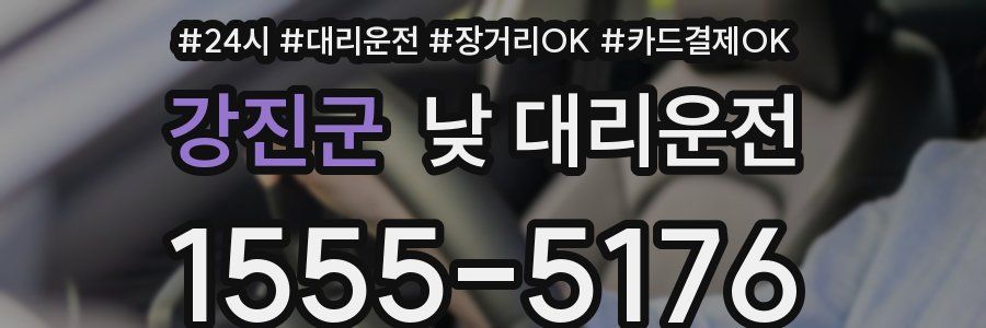 강진군 낮 대리운전