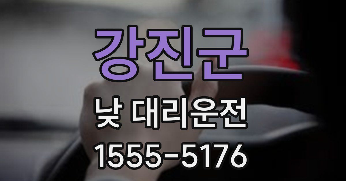 강진군 낮 대리운전