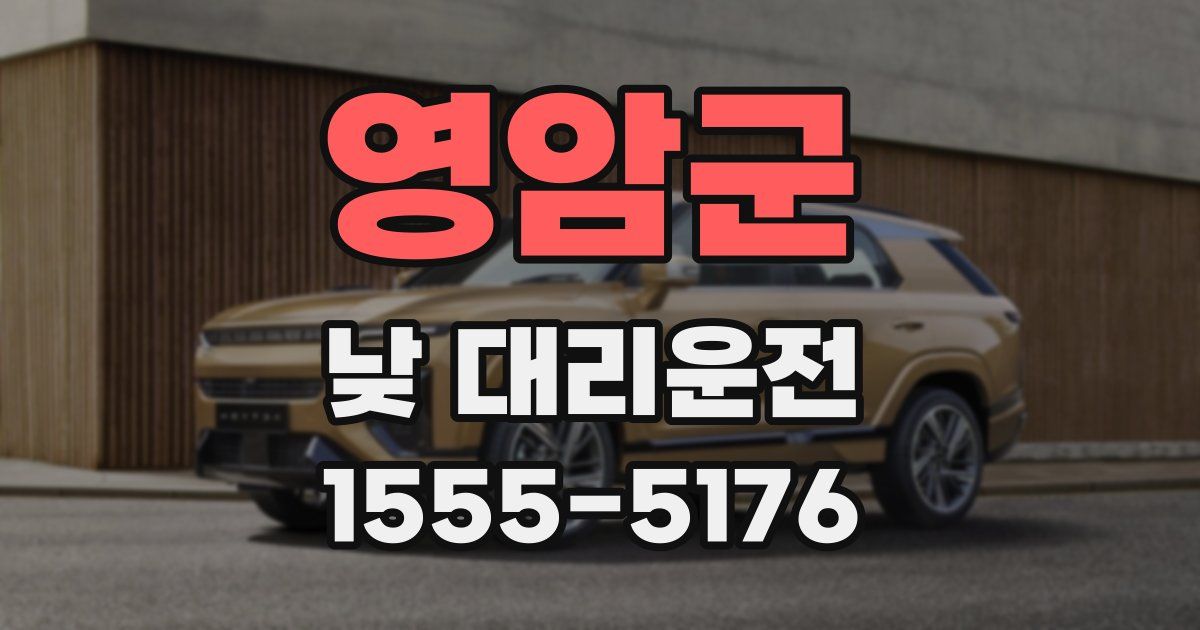 영암군 낮 대리운전