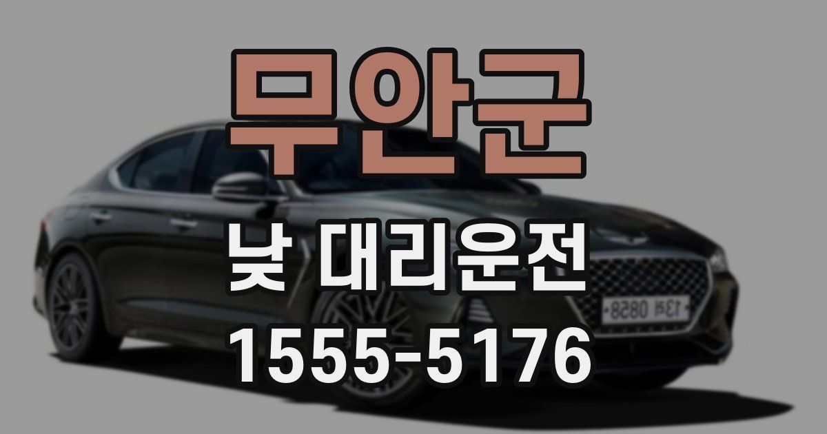 무안군 낮 대리운전