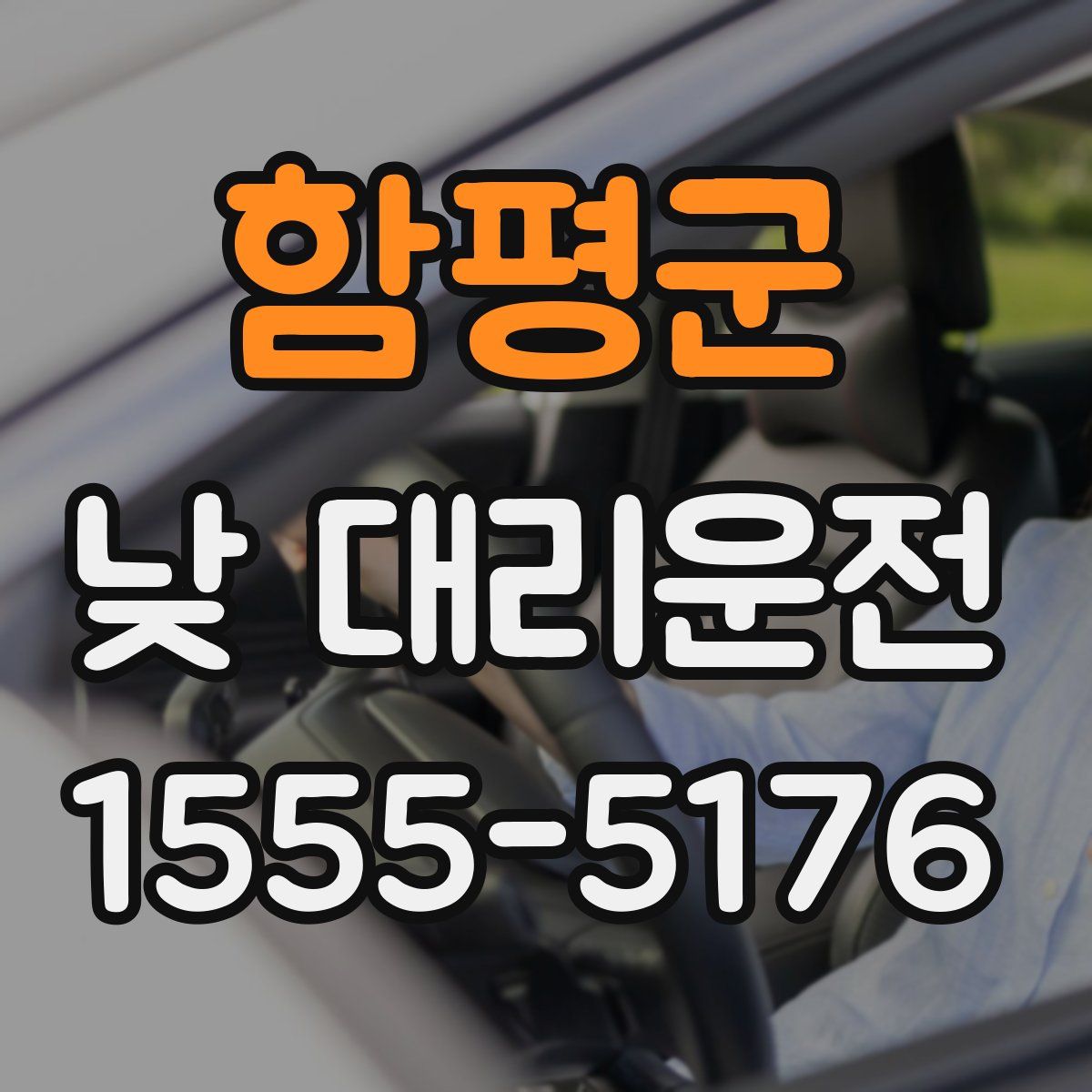 함평군 낮 대리운전