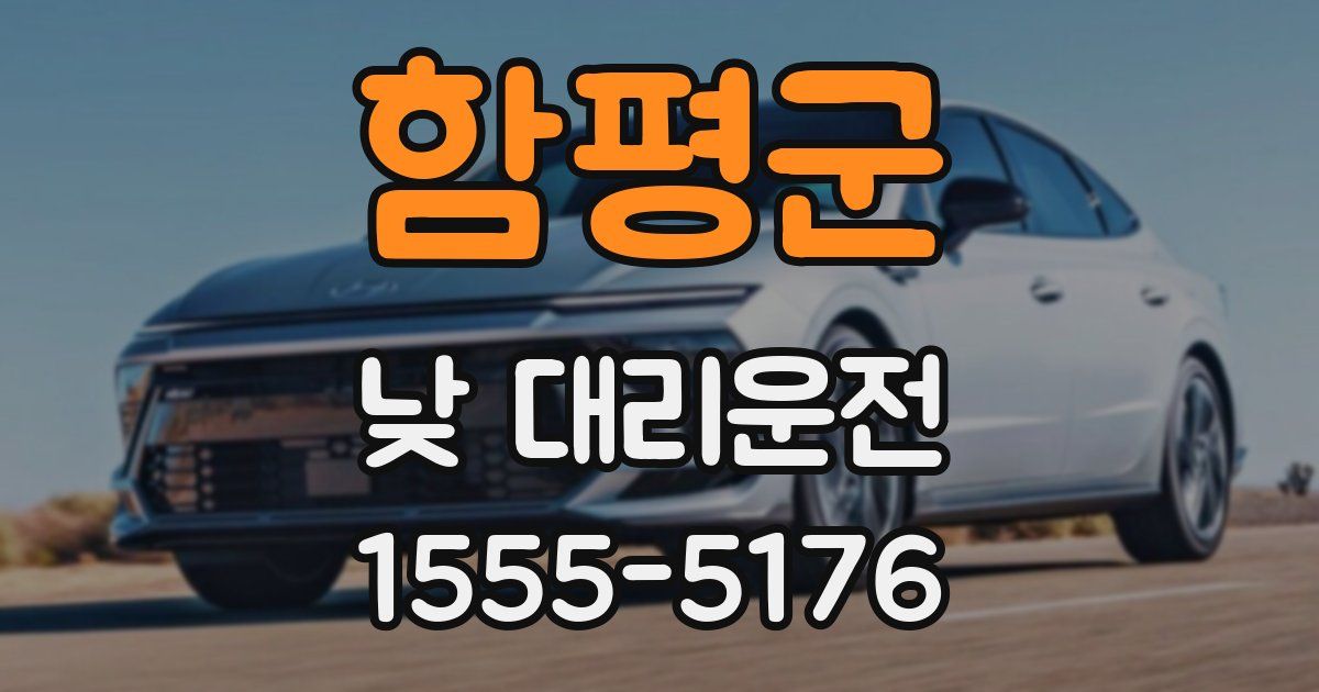 함평군 낮 대리운전