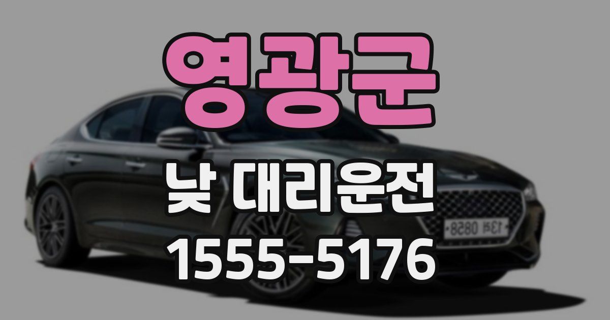 영광군 낮 대리운전