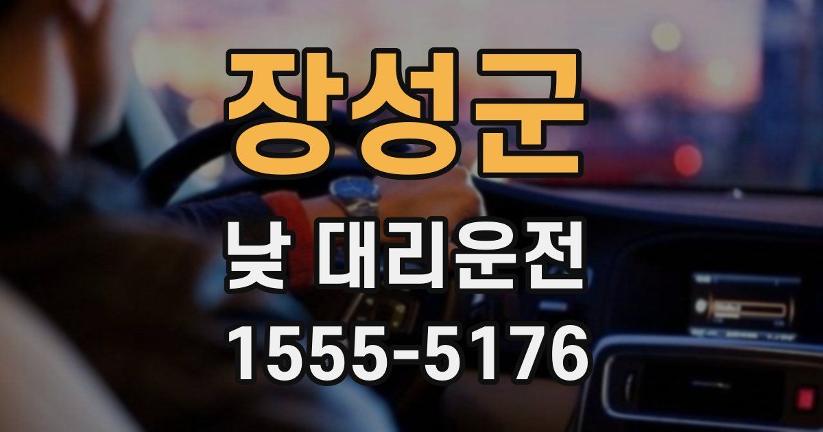 장성군 낮 대리운전
