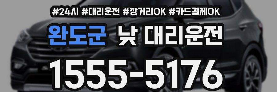 완도군 낮 대리운전